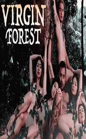 Virgin Forest